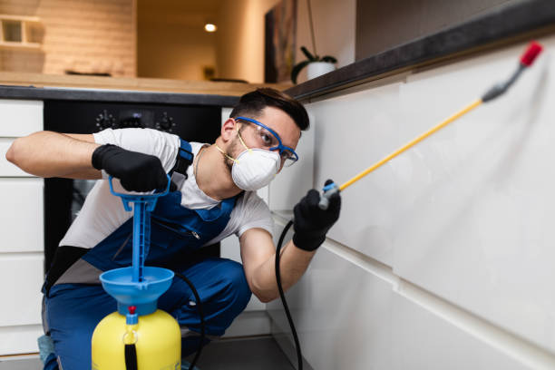 Best Local Pest Control Services  in Taft, TX