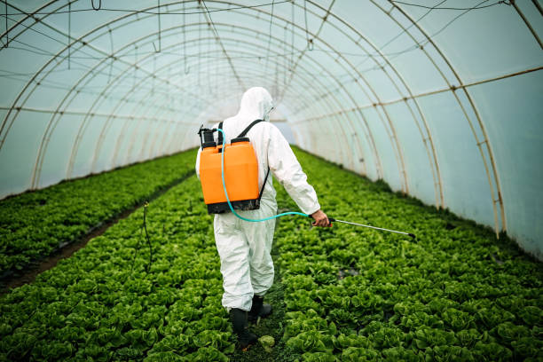 Best Best Pest Control Near Me  in Taft, TX