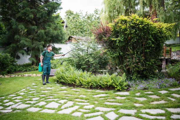 Best Best Pest Control Companies  in Taft, TX