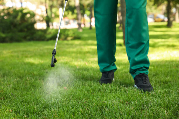 Professional Pest Control in Taft, TX