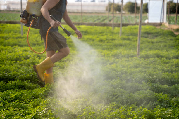 Best Exterminator Services  in Taft, TX