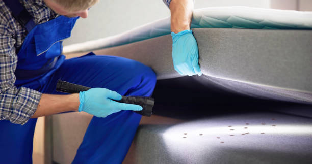 Best Best Pest Control Near Me  in Taft, TX