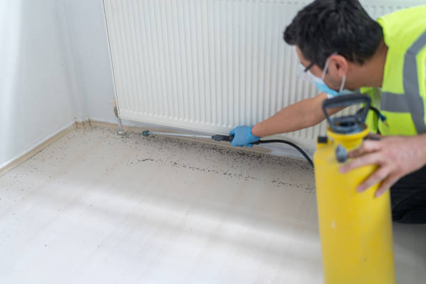 Best Rat Extermination Near Me  in Taft, TX